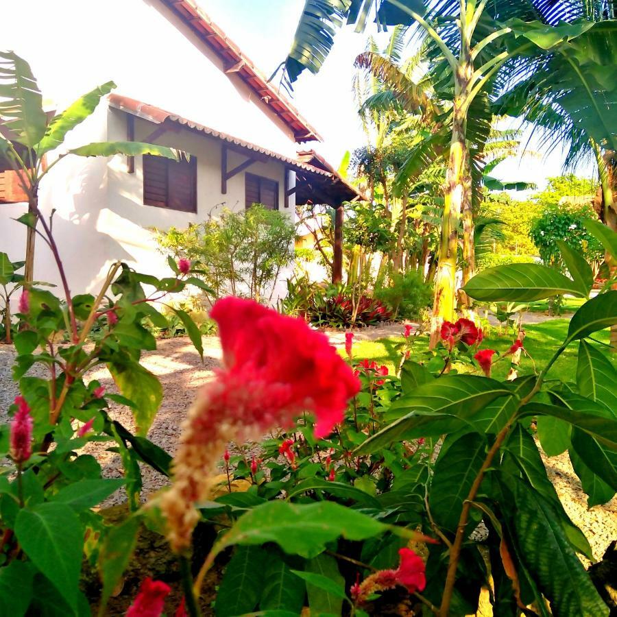 Apartment Tropicana Village